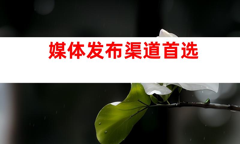 媒体发布渠道首选