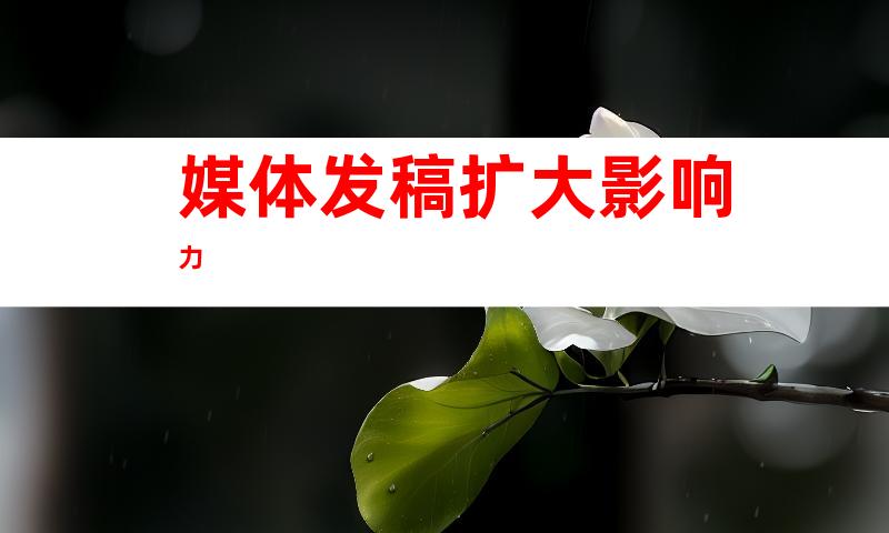 媒体发稿扩大影响力