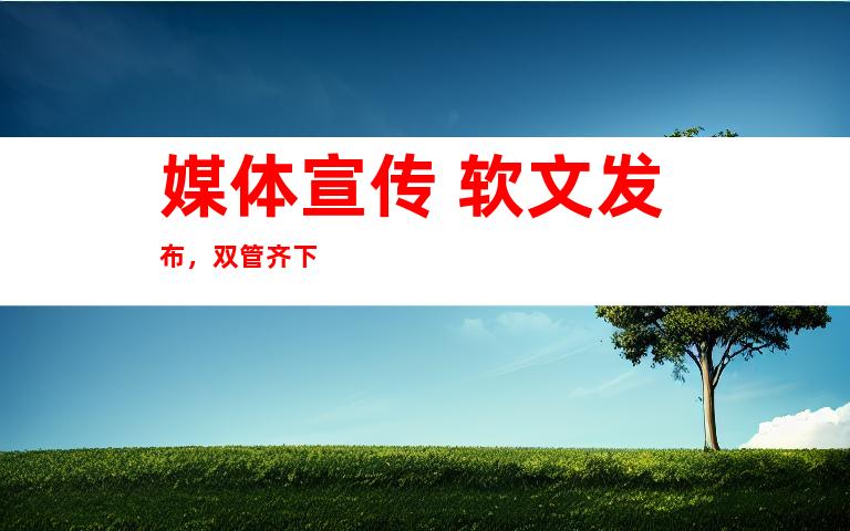 媒体宣传+软文发布，双管齐下