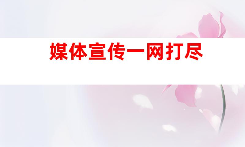 媒体宣传一网打尽