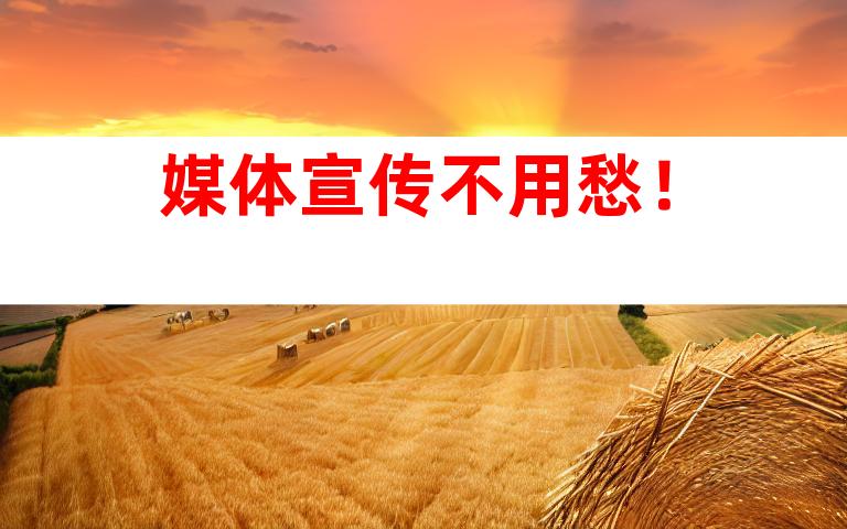 媒体宣传不用愁！