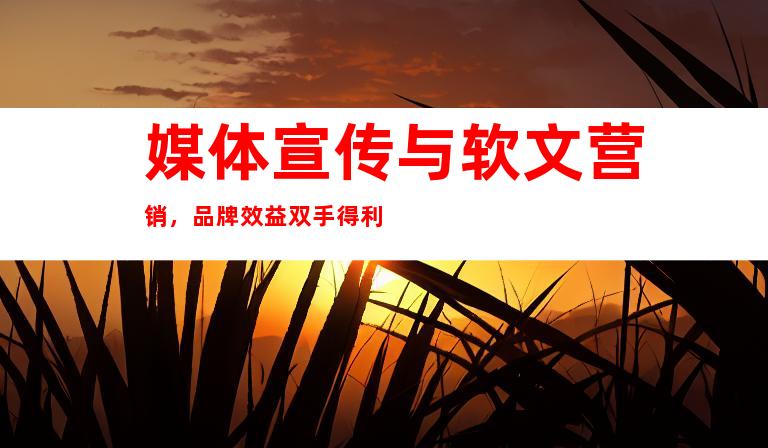 媒体宣传与软文营销，品牌效益双手得利
