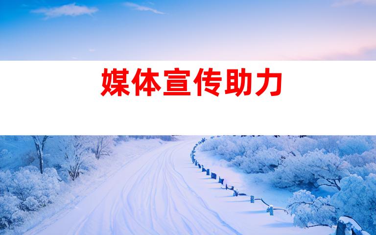 媒体宣传助力
