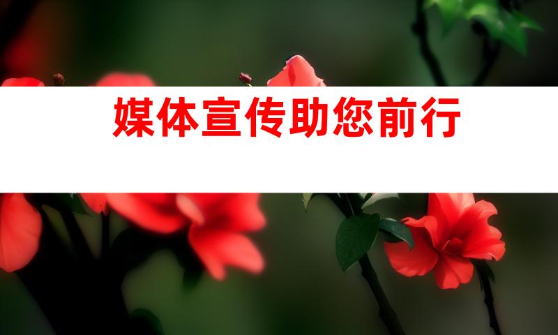 媒体宣传助您前行