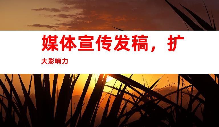 媒体宣传发稿，扩大影响力
