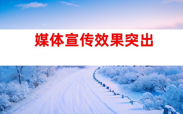 媒体宣传效果突出