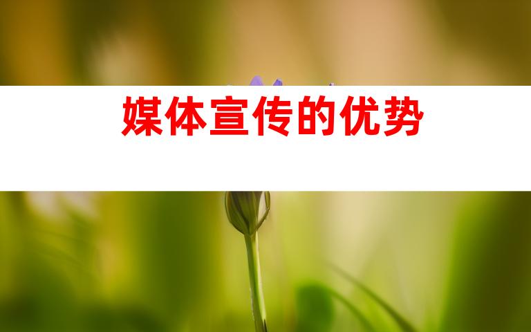 媒体宣传的优势
