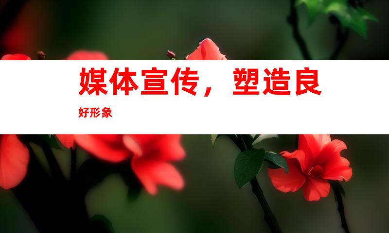 媒体宣传，塑造良好形象