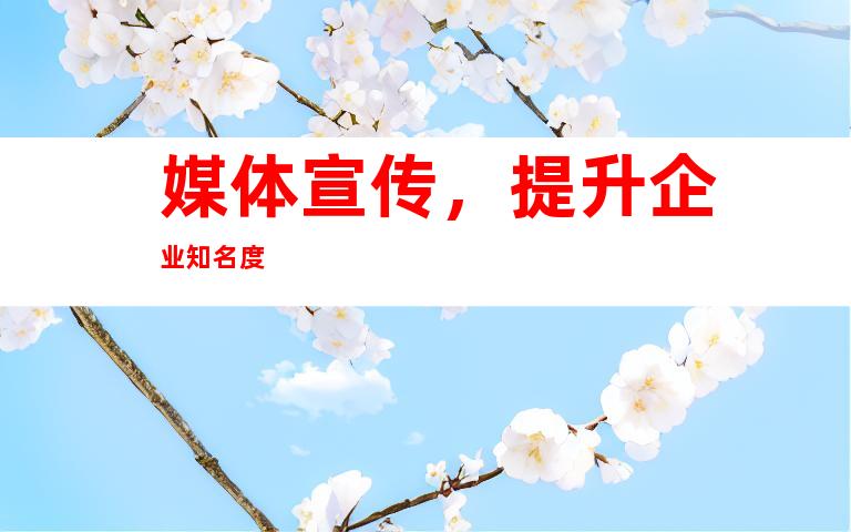媒体宣传，提升企业知名度