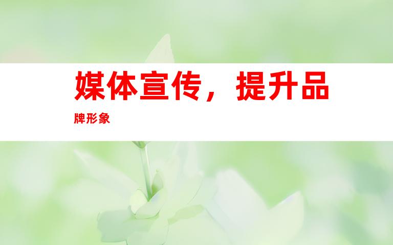 媒体宣传，提升品牌形象