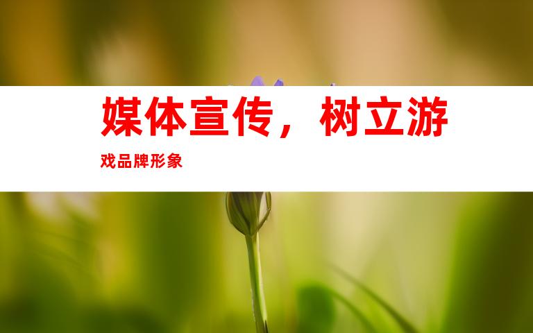 媒体宣传，树立游戏品牌形象