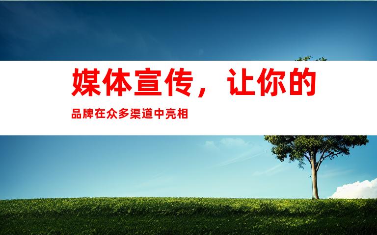 媒体宣传，让你的品牌在众多渠道中亮相