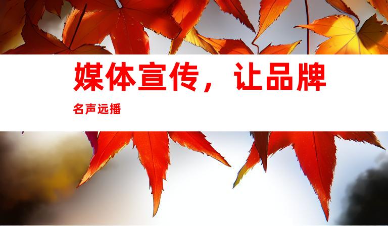 媒体宣传，让品牌名声远播