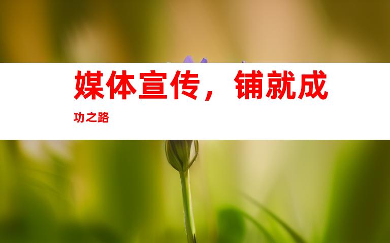 媒体宣传，铺就成功之路