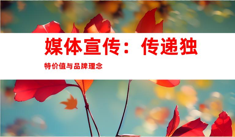 媒体宣传：传递独特价值与品牌理念