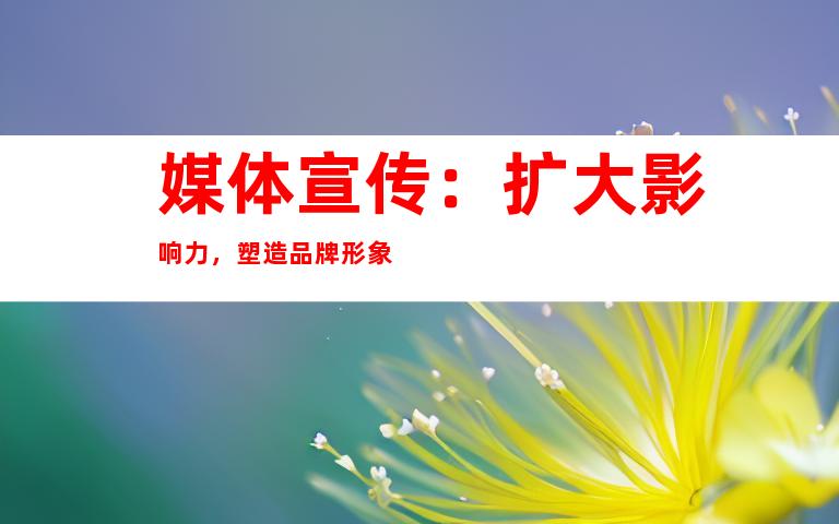 媒体宣传：扩大影响力，塑造品牌形象