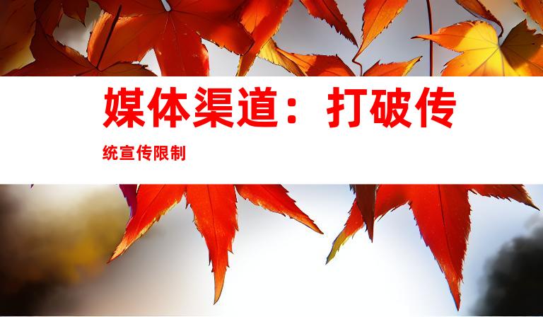 媒体渠道：打破传统宣传限制
