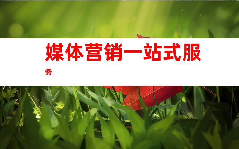 媒体营销一站式服务