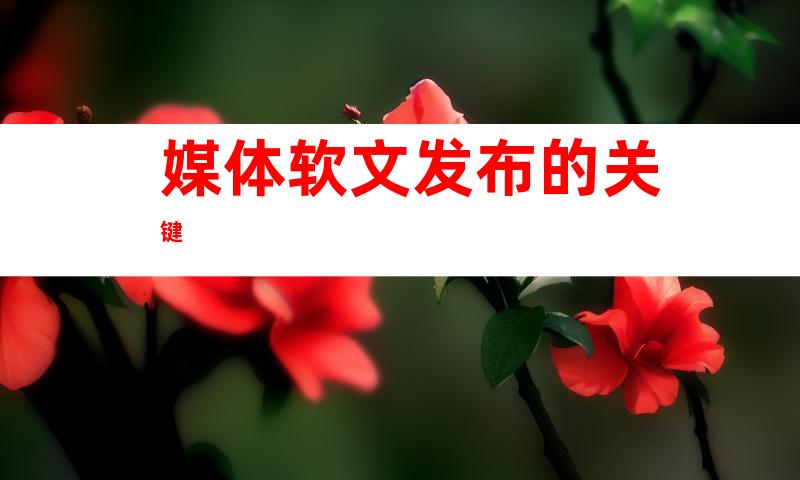 媒体软文发布的关键