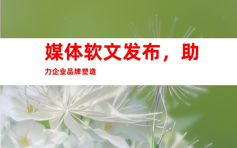 媒体软文发布，助力企业品牌塑造