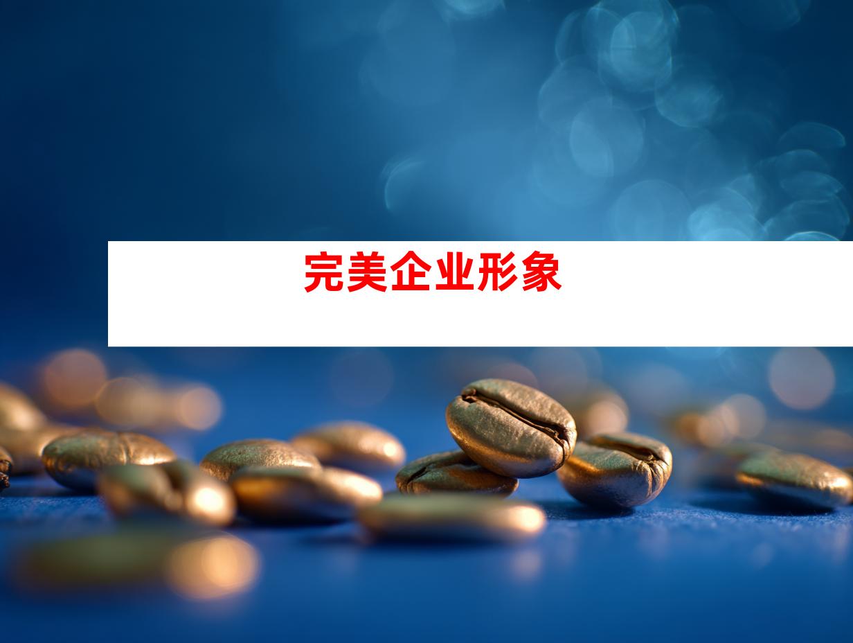 完美企业形象