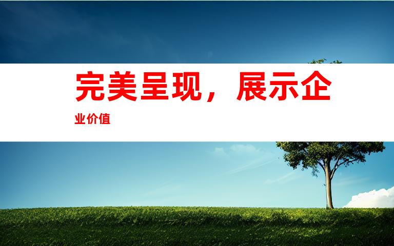 完美呈现，展示企业价值