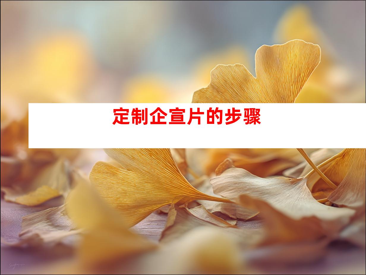 定制企宣片的步骤