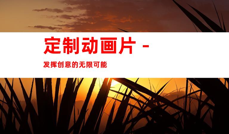 定制动画片 - 发挥创意的无限可能