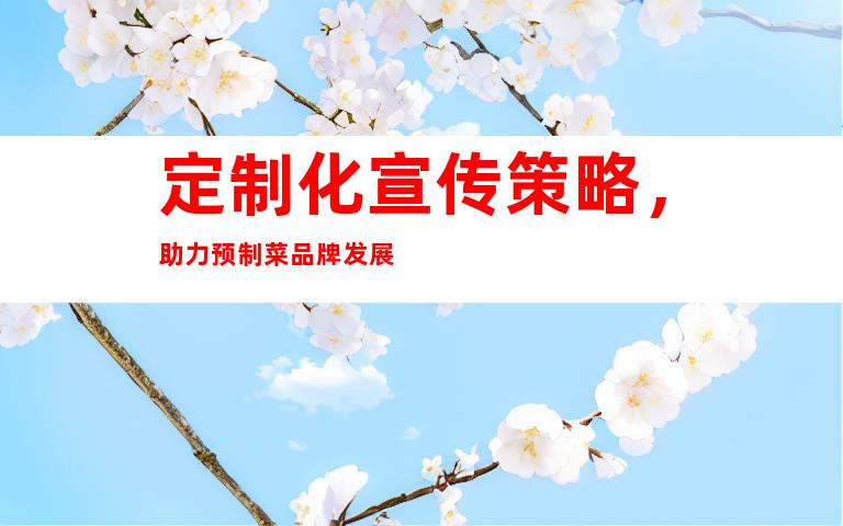 定制化宣传策略，助力预制菜品牌发展