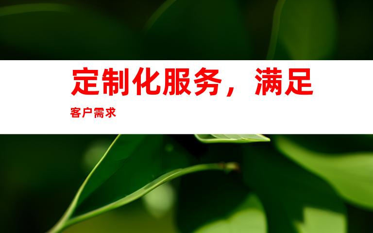 定制化服务，满足客户需求