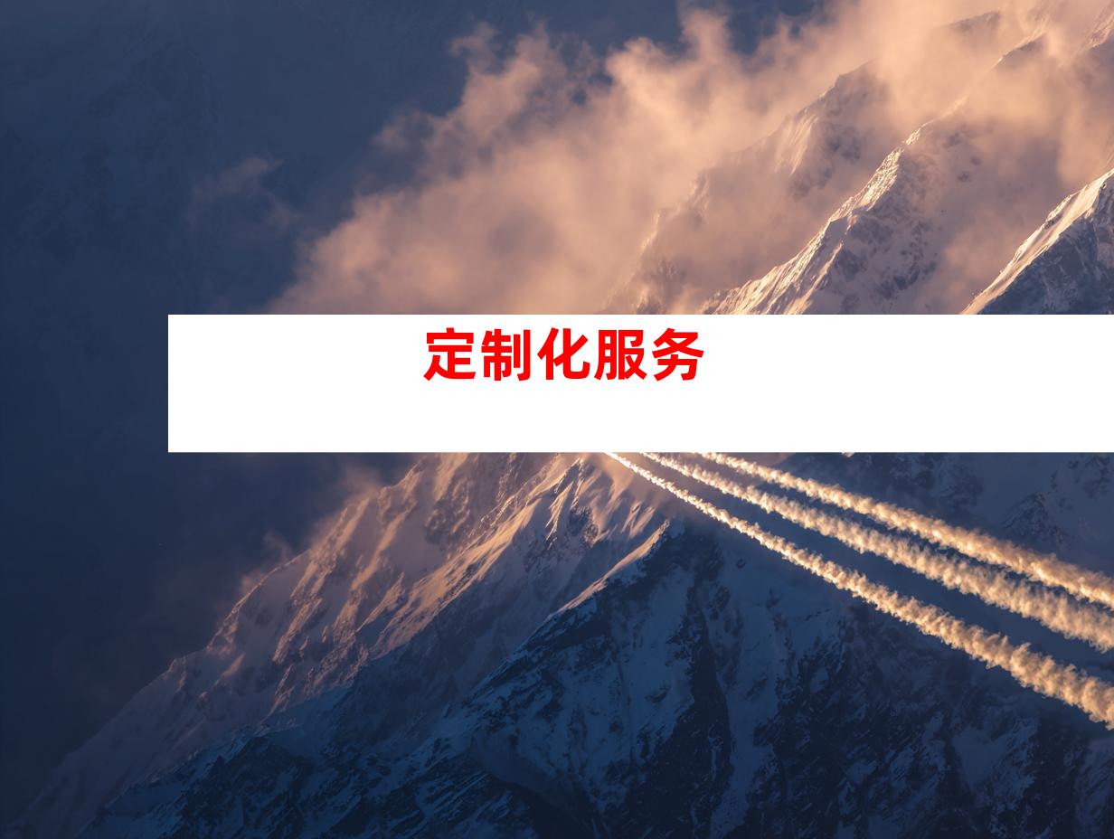 定制化服务
