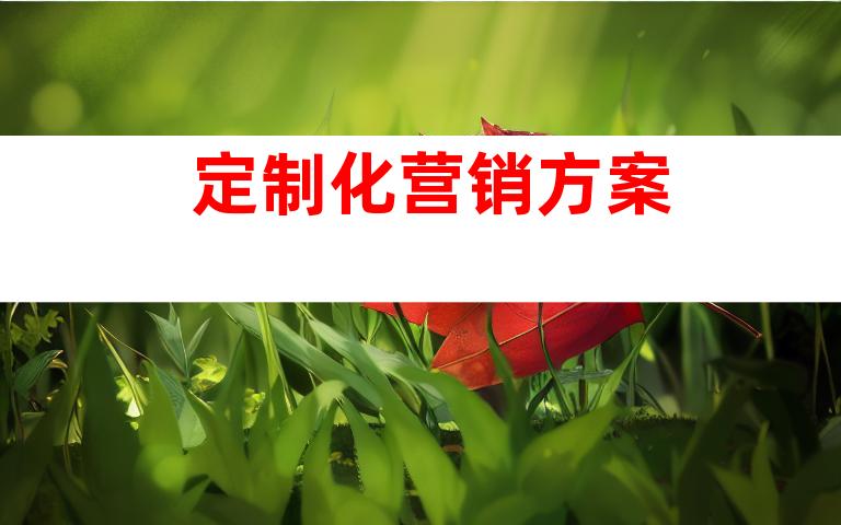 定制化营销方案