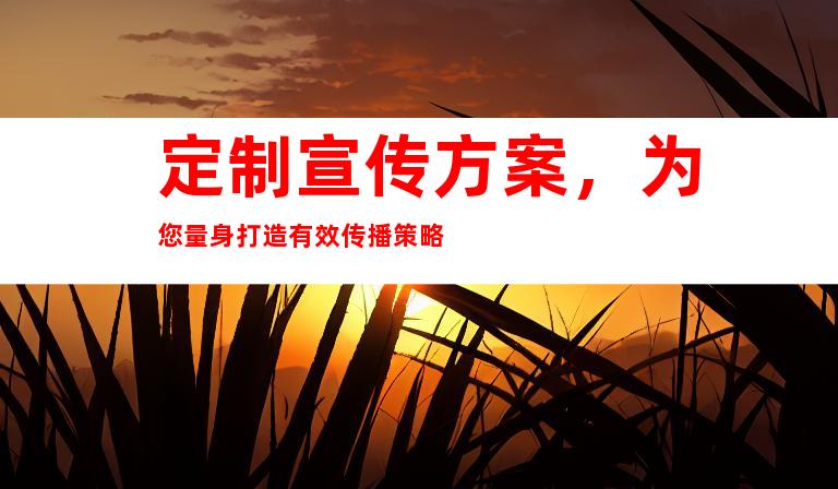 定制宣传方案，为您量身打造有效传播策略