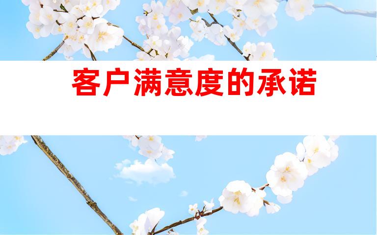 客户满意度的承诺