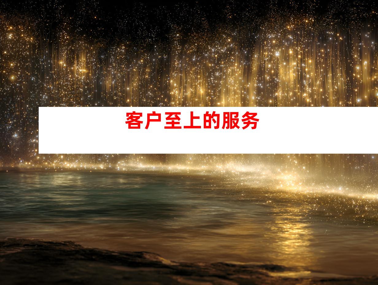客户至上的服务