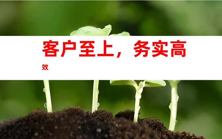 客户至上，务实高效