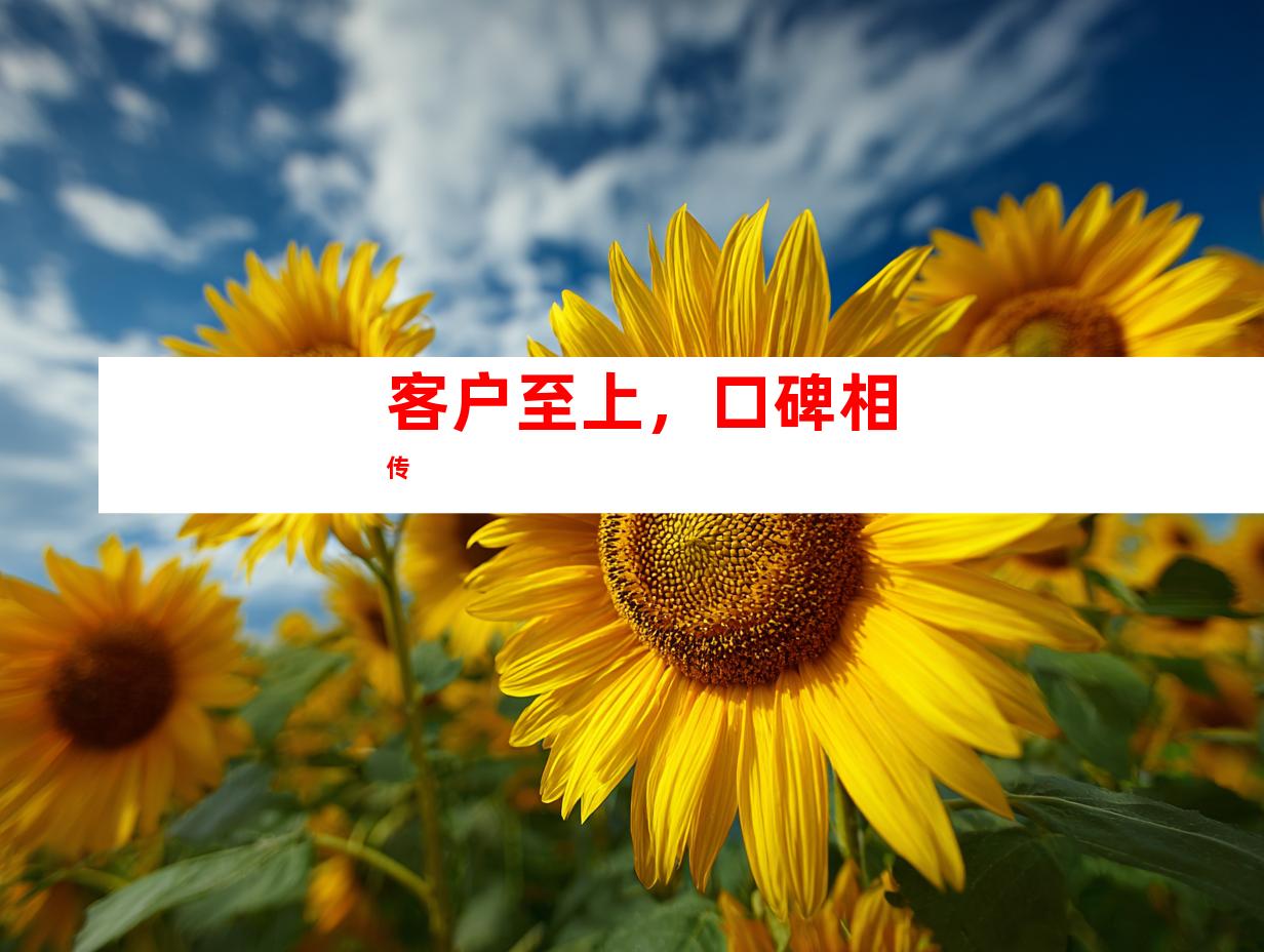 客户至上，口碑相传