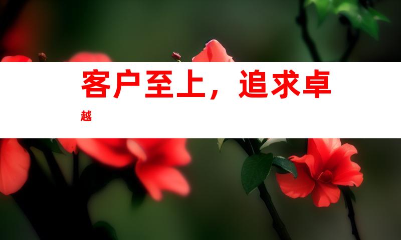 客户至上，追求卓越