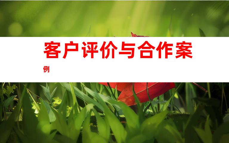 客户评价与合作案例