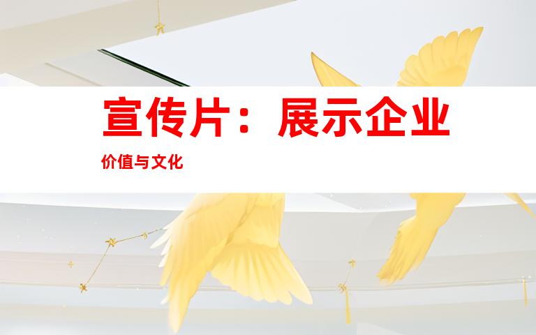 宣传片：展示企业价值与文化