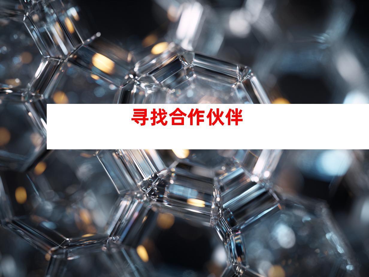 寻找合作伙伴