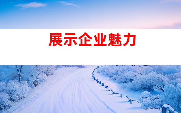 展示企业魅力