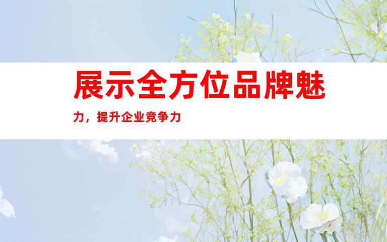 展示全方位品牌魅力，提升企业竞争力