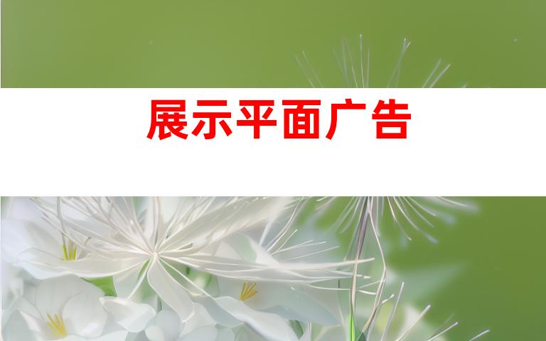 展示平面广告