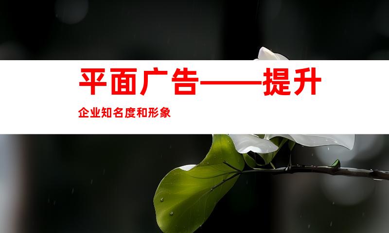 平面广告——提升企业知名度和形象