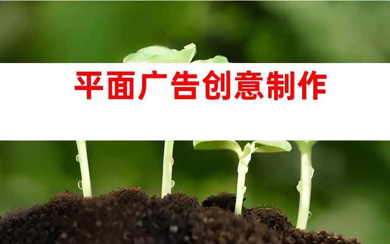 平面广告创意制作