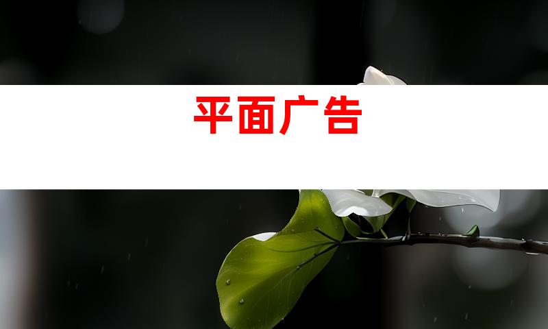 平面广告