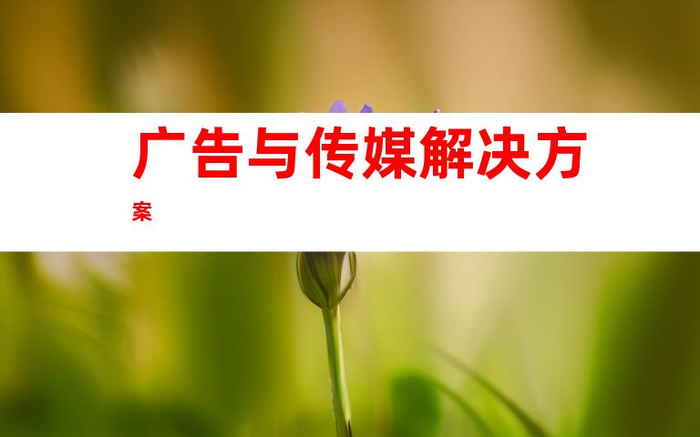 广告与传媒解决方案