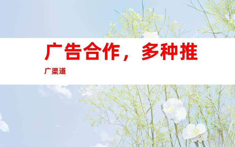 广告合作，多种推广渠道