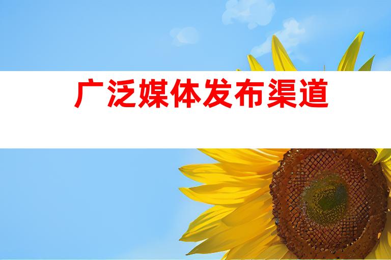 广泛媒体发布渠道